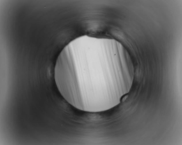X0000094330424200711161953