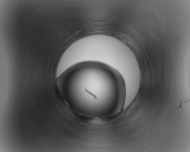 X0000094330425200711161953