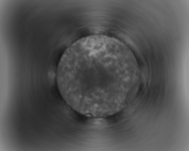 X0000094330427200711161953
