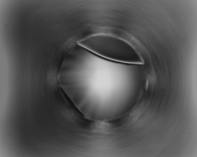 X0000094330429200711161953