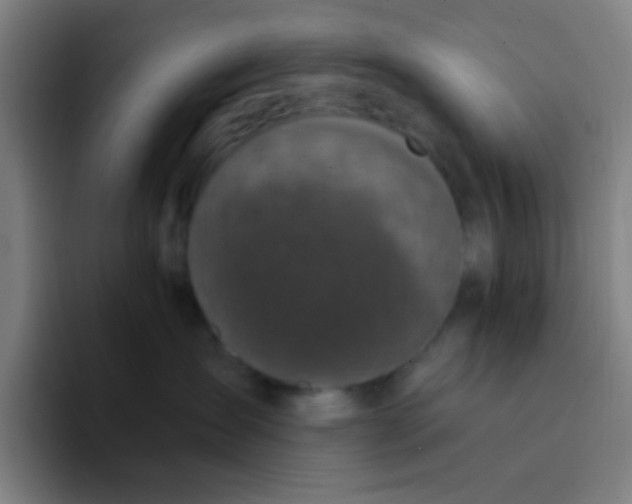X0000094330431200711161953
