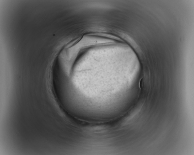 X0000094330433200711161953