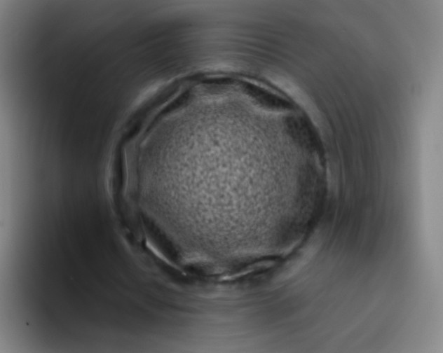 X0000094330434200711161953