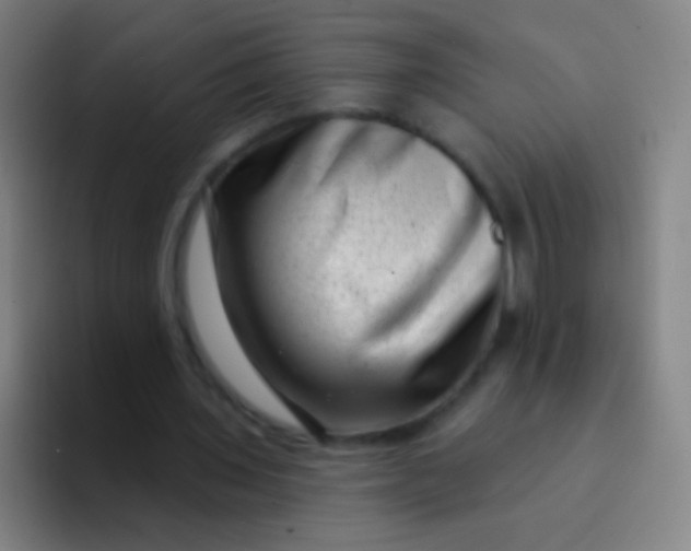X0000094330435200711161953