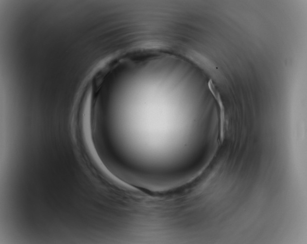 X0000094330436200711161953