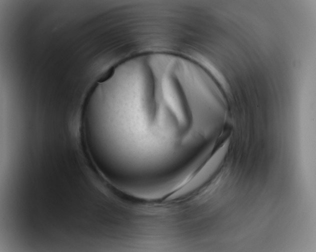 X0000094330437200711161953