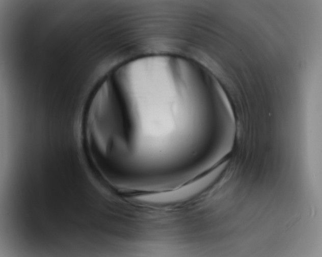 X0000094330438200711161953