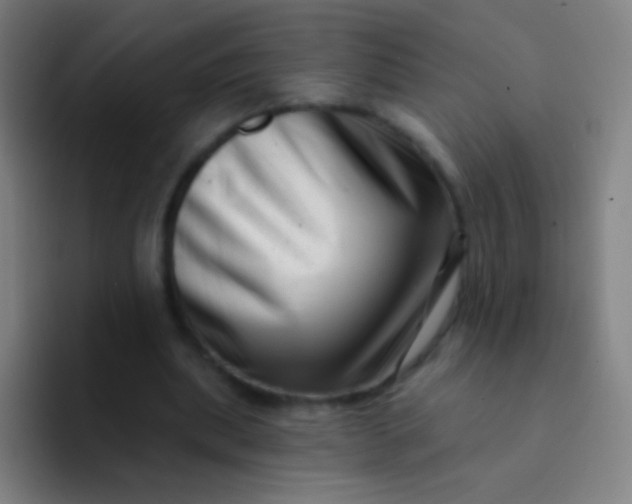 X0000094330439200711161953