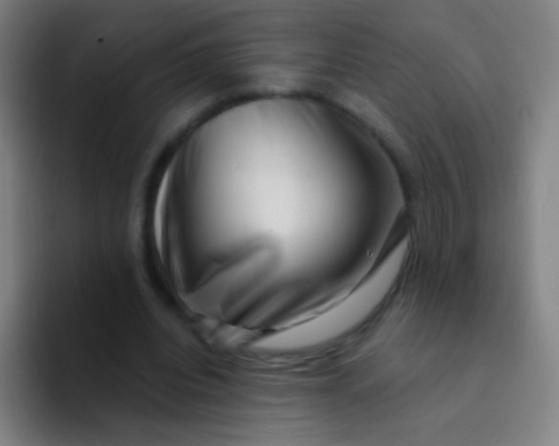 X0000094330440200711161953