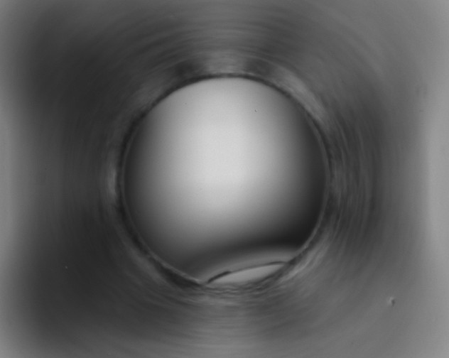 X0000094330441200711161953