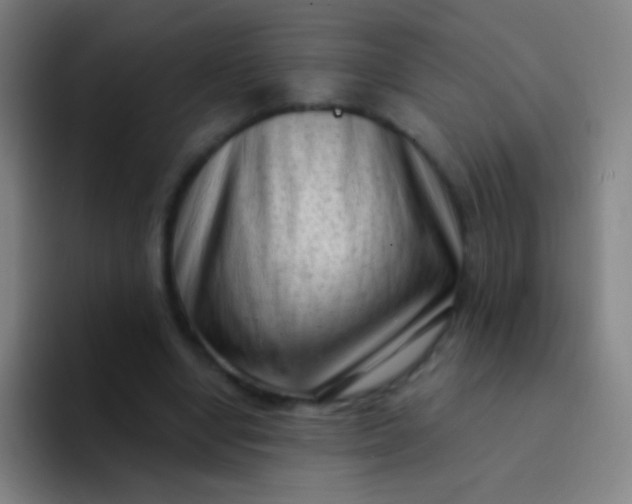X0000094330442200711161953