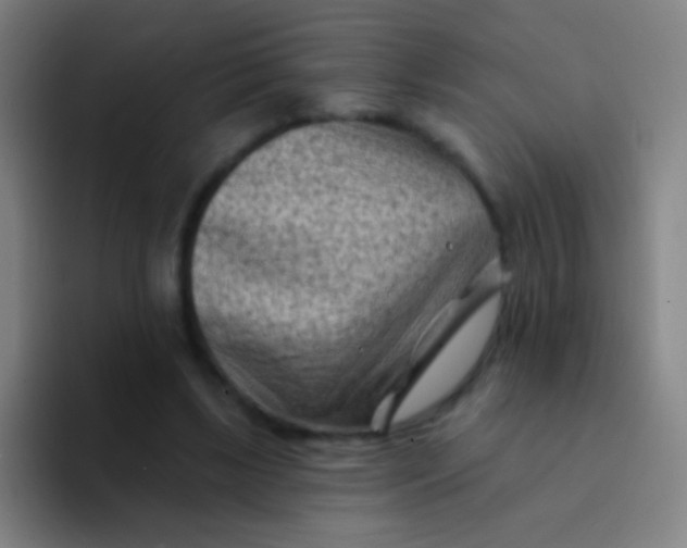 X0000094330443200711161953