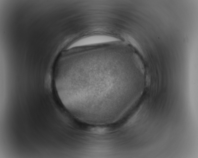 X0000094330444200711161953