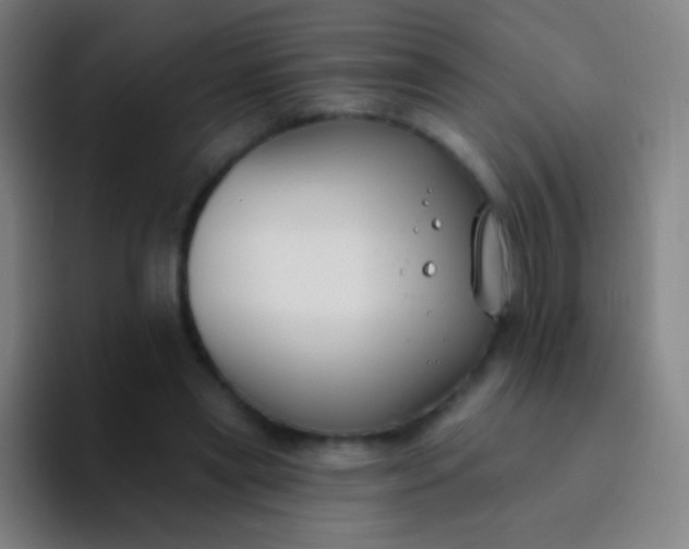 X0000094330445200711161953
