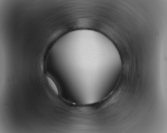 X0000094330446200711161953