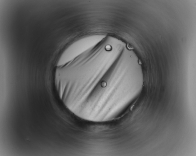 X0000094330448200711161953