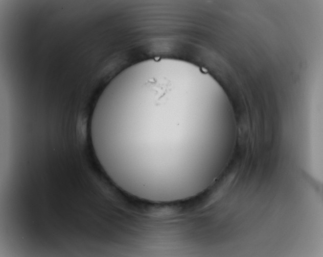 X0000094330454200711161953