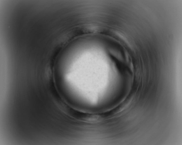 X0000094330459200711161953