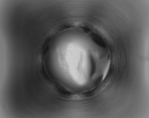 X0000094330461200711161953
