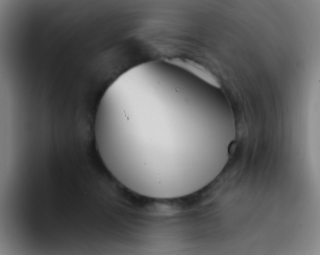 X0000094330464200711161953