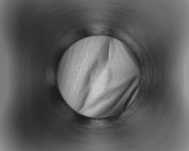 X0000094330469200711161953