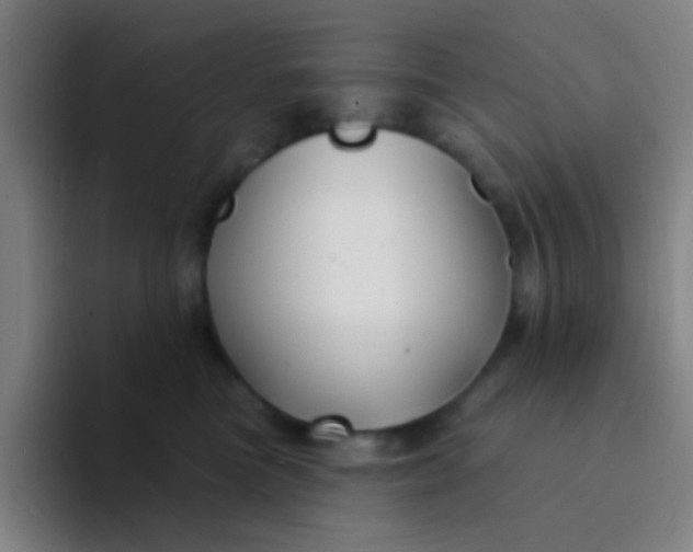X0000094330473200711161953