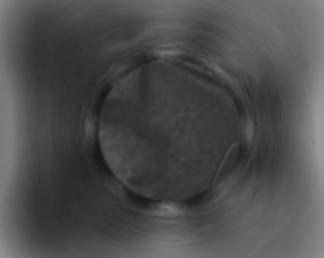 X0000094330475200711161953