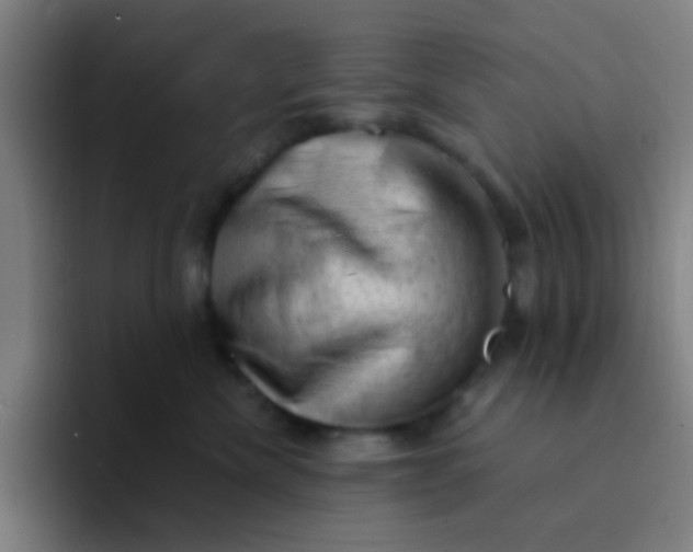 X0000094330476200711161953