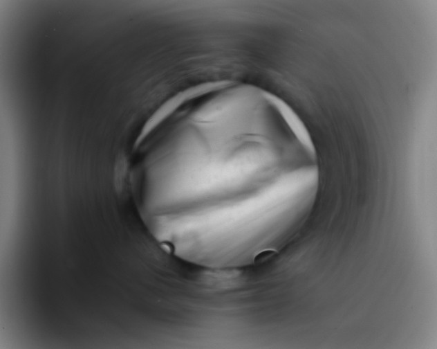 X0000094330480200711161953