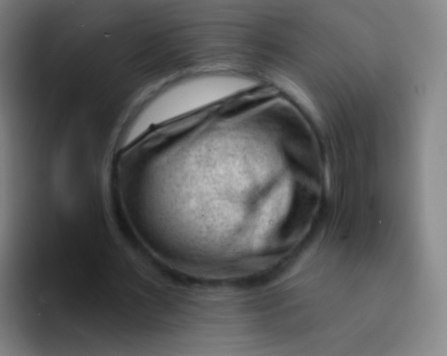 X0000094330483200711161953