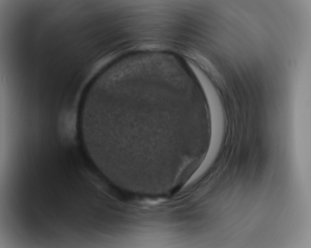 X0000094330484200711161953