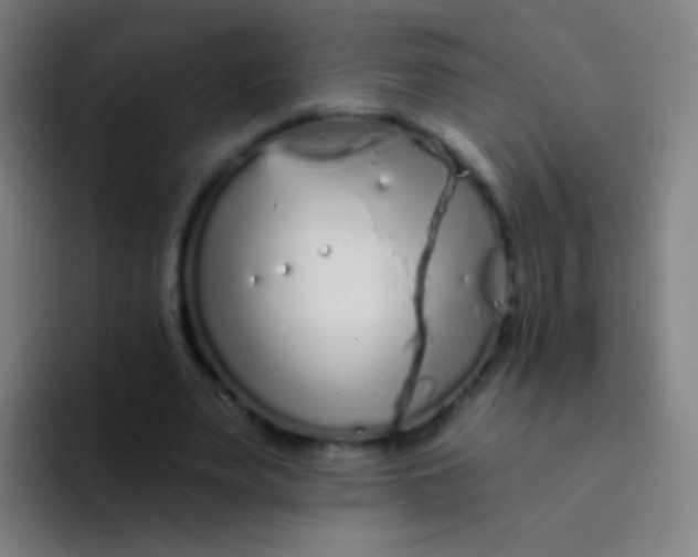 X0000094330487200711161953