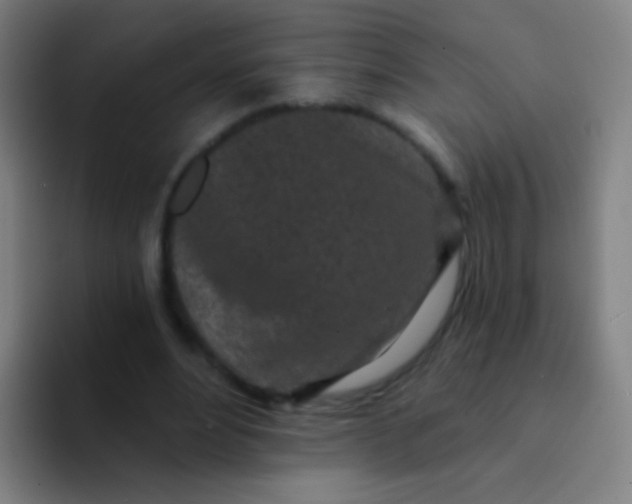 X0000094330488200711161953