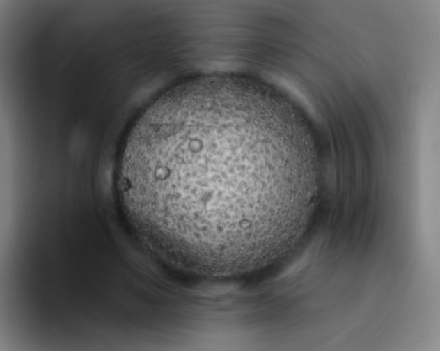 X0000094330491200711161953