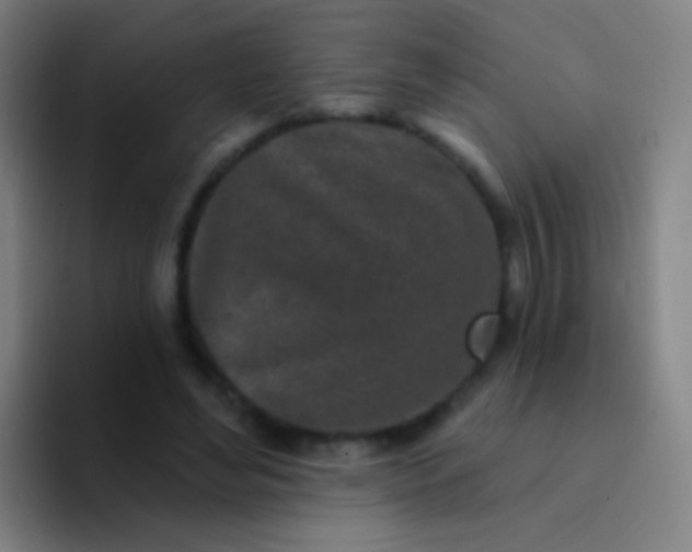 X0000094330492200711161953