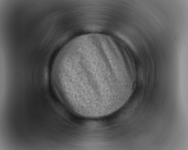 X0000094330494200711161953