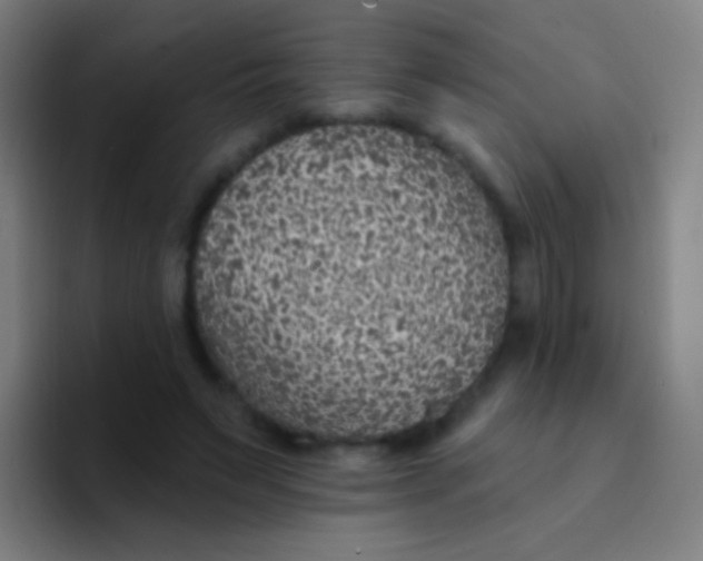 X0000094330495200711161953