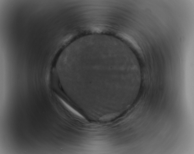 X0000094330496200711161952