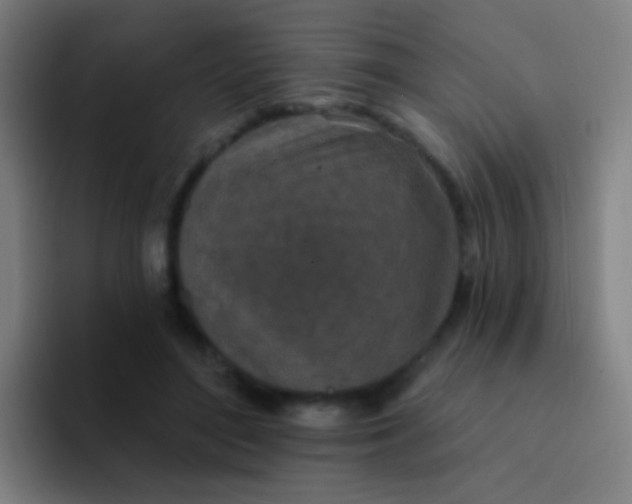 X0000094330500200711161952