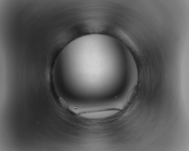 X0000094330501200711161952