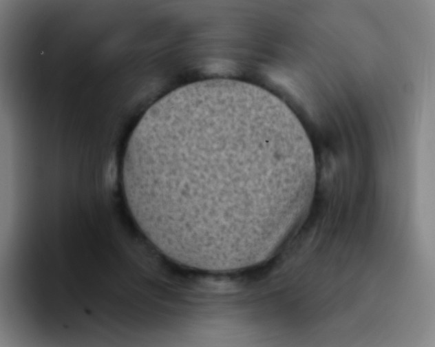 X0000094330502200711161952