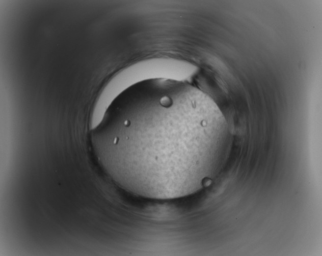 X0000094330503200711161952
