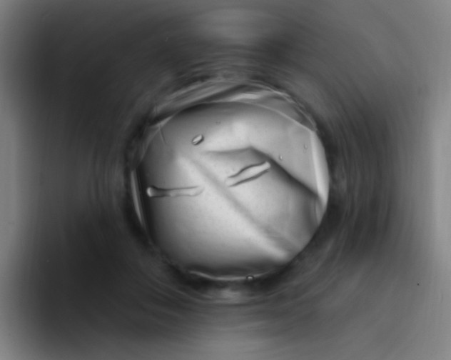 X0000094330506200711161952