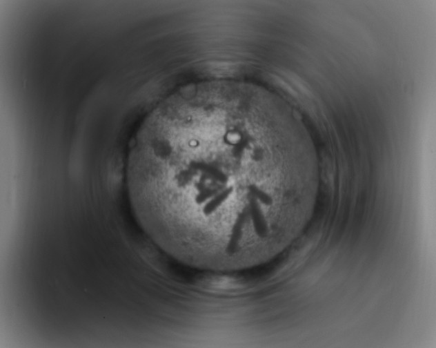 X0000094330507200711161952