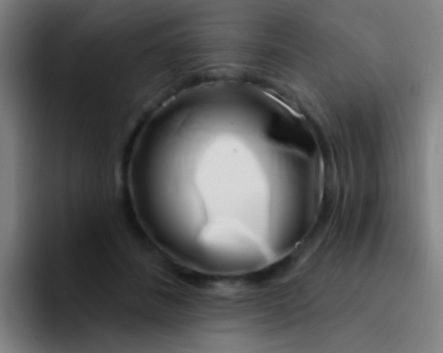 X0000094330508200711161952
