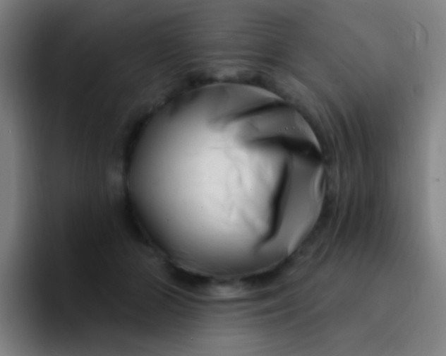 X0000094330510200711161952