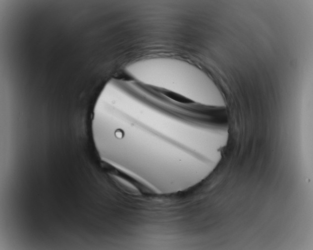 X0000094330512200711161952