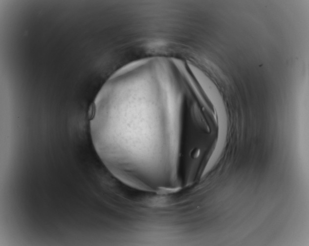 X0000094330513200711161952