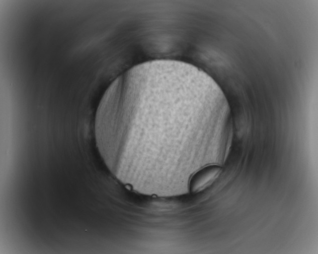 X0000094330515200711161952