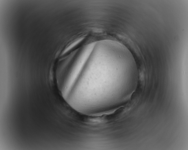 X0000094330516200711161952